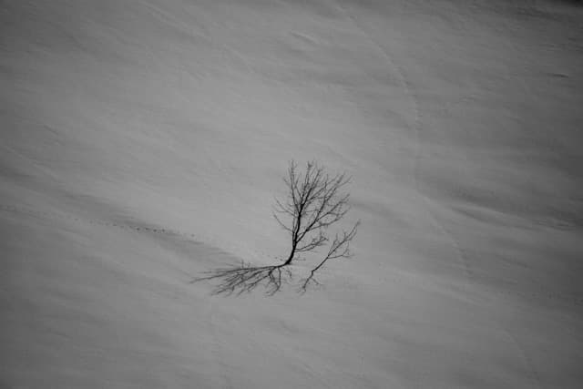 Beispielbild Kategorie Kreative Ansichten